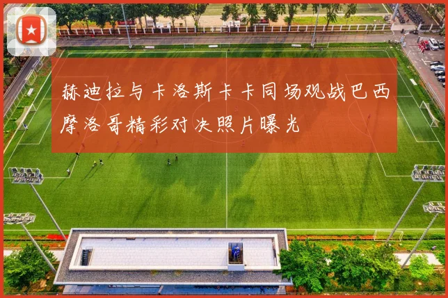 赫迪拉与卡洛斯卡卡同场观战巴西摩洛哥精彩对决照片曝光