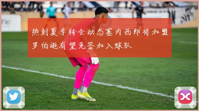 热刺夏季转会动态塞内西即将加盟罗伯逊有望免签加入球队